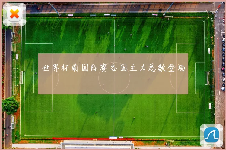 世界杯前国际赛各国主力悉数登场